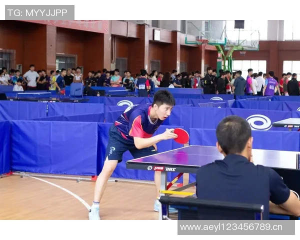 成都乒乓球队实力揭秘:乒乓球巨献背后的故事与成就 成都乒乓球队实力揭秘:乒乓球巨献背后的故事与成就