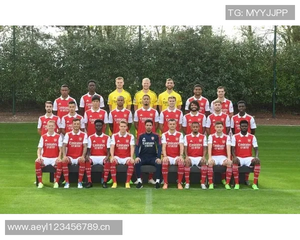 英超豪门阿森纳当前阵容分析 年轻化还是经验至上 英超豪门阿森纳当前阵容分析 年轻化还是经验至上