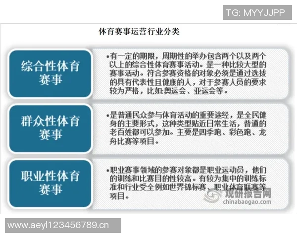 网球运动发展历程及其对全球体育文化的影响与启示 网球运动发展历程及其对全球体育文化的影响与启示